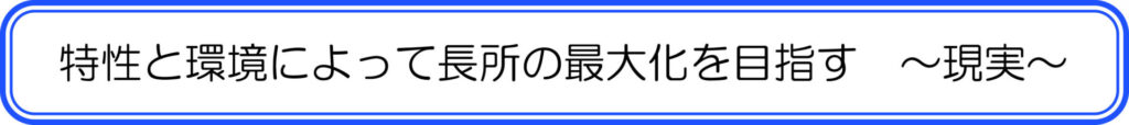 特性と環境によって長所の最大化を目指す　～現実～